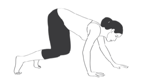 Bài tập gấu bò tại chỗ.