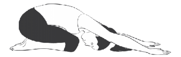 Bài tập Child’s Pose