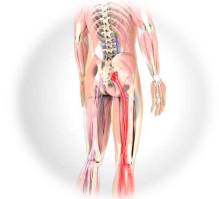 Biểu hiện triệu chứng của bệnh lý hẹp ống sống thắt lưng rất đa dạng