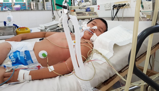 Nhiều ca mắc viên não Nhật Bản, bác sĩ cảnh báo nguy hiểm - 3