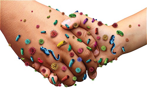 HP rất dễ lây lan nên mỗi người phải có ý thức tự giác phòng ngừa. Ảnh:News